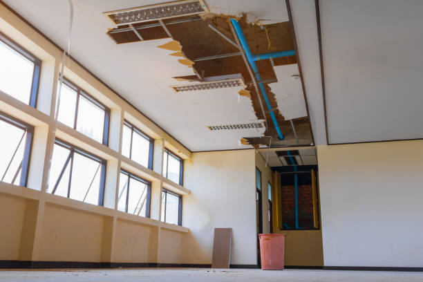 Best Water damage repair service  in Monticello, WI