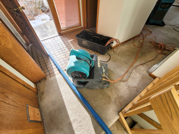 Best Water damage cleanup near me  in Monticello, WI