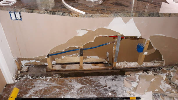 Best Water damage contractors near me  in Monticello, WI