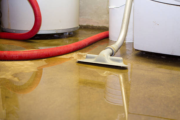Best Water damage restoration experts  in Monticello, WI