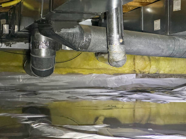 Best Water damage cleanup near me  in Monticello, WI