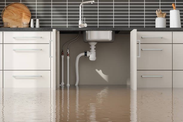 Best Carpet water damage restoration  in Monticello, WI