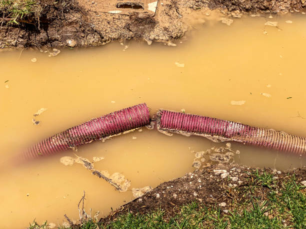Best Emergency water damage restoration  in Monticello, WI